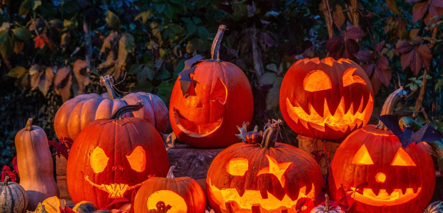 media.DSC-4663-2048x1367